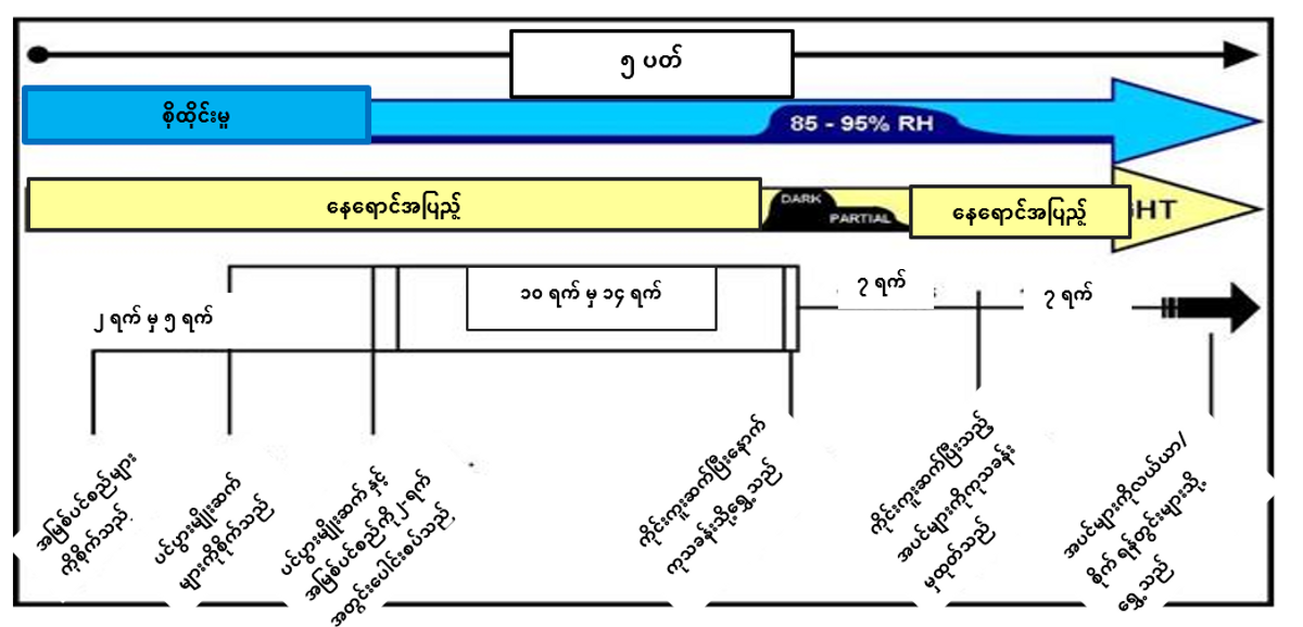 AN43 Tom Fig2 Bur